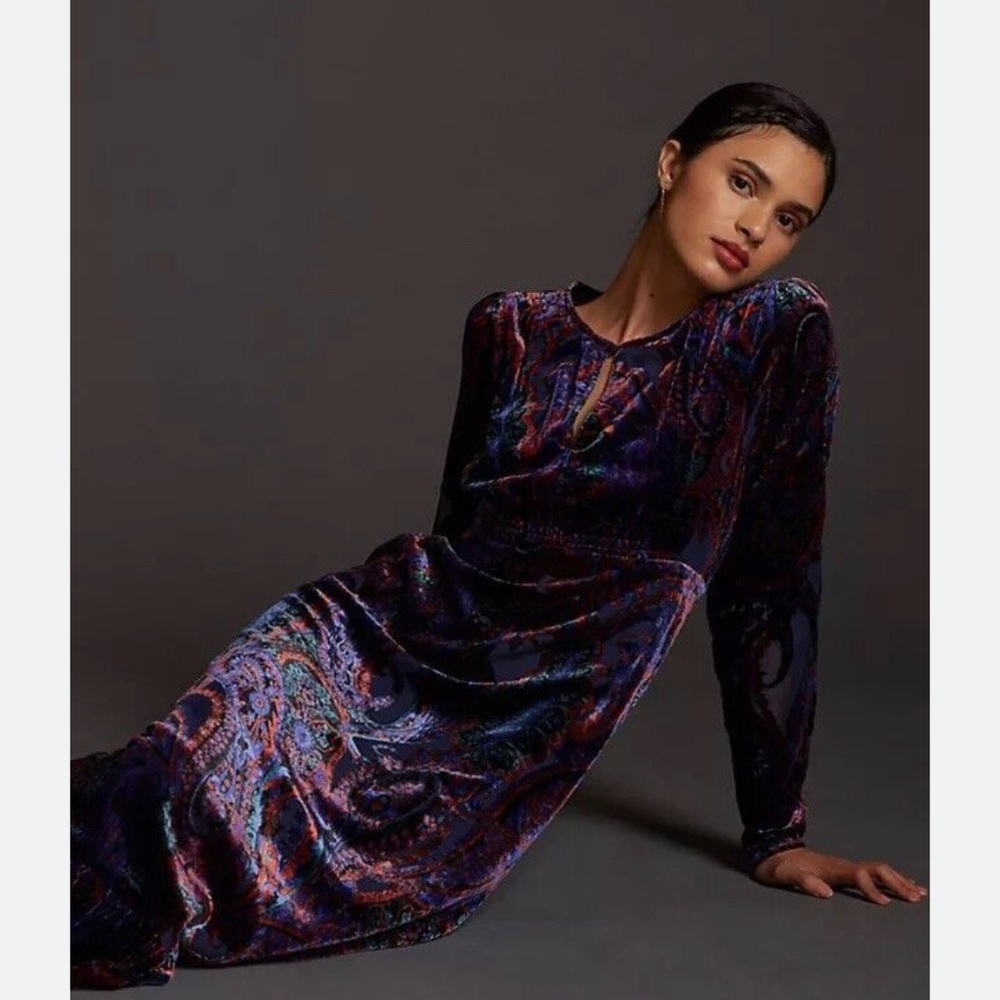 Anthropologie velvet burnout maxi dress
